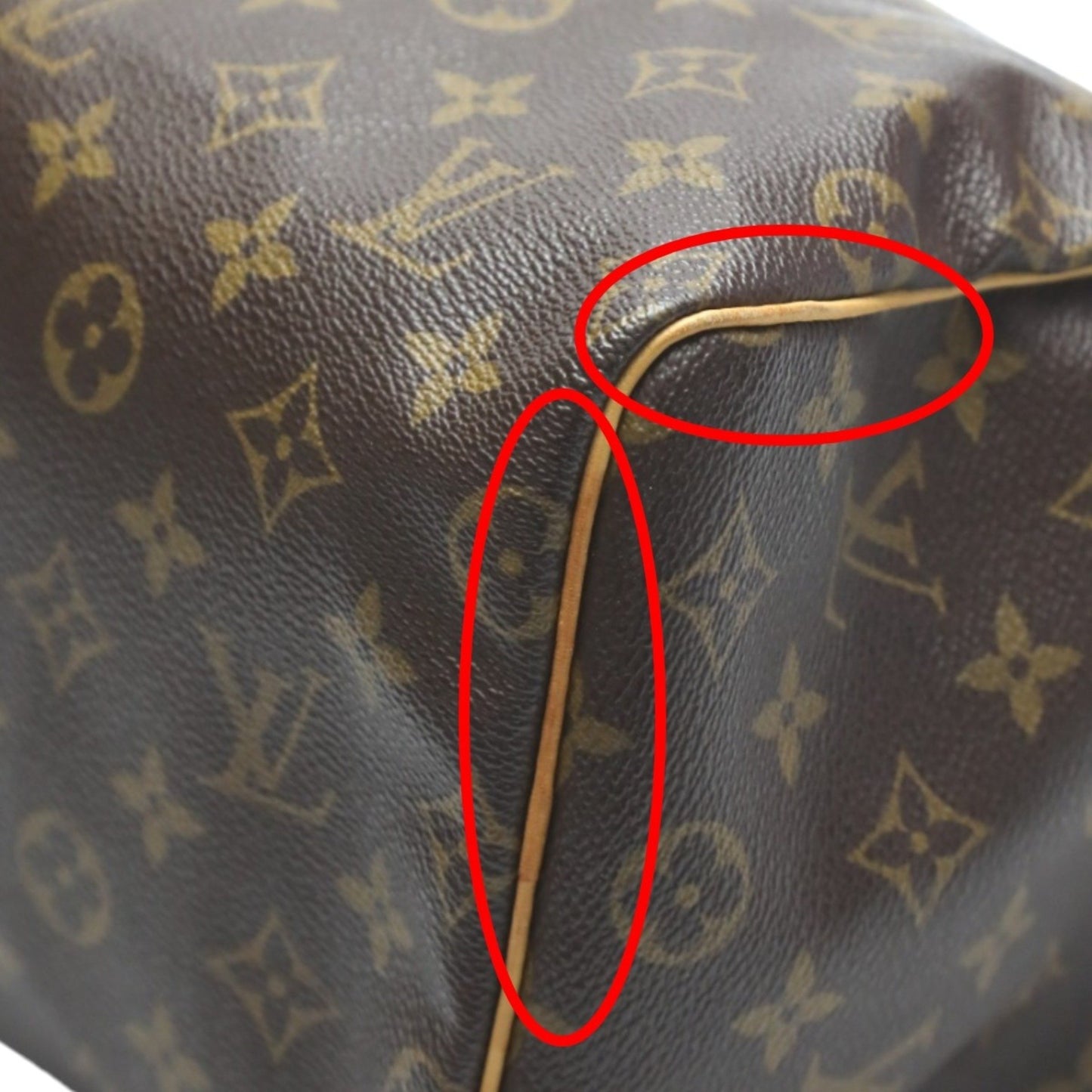 Louis Vuitton Speedy 25